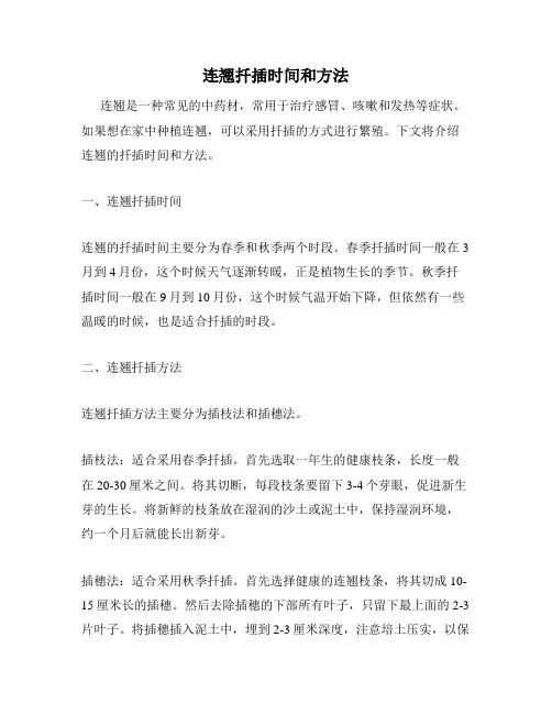 连翘扦插时间和方法