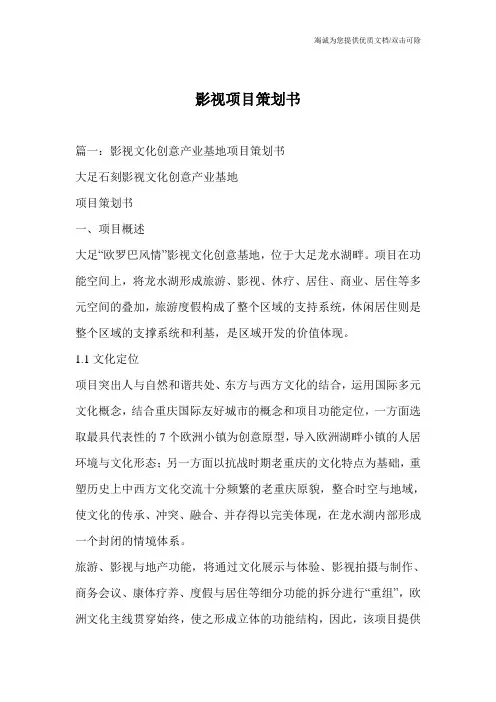 影视项目策划书