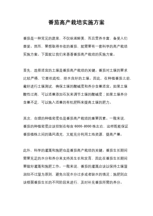 番茄高产栽培实施方案