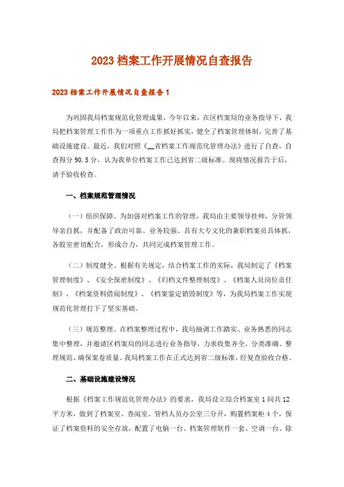 2023档案工作开展情况自查报告