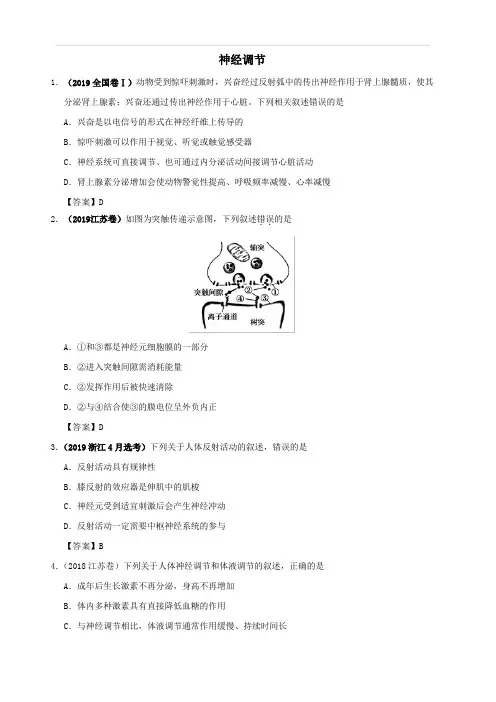 2020年高考生物易错知识强化练习：神经调节含答案(含答案)