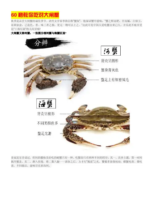 60秒教你吃对大闸蟹