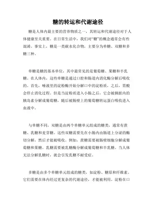 糖的转运和代谢途径