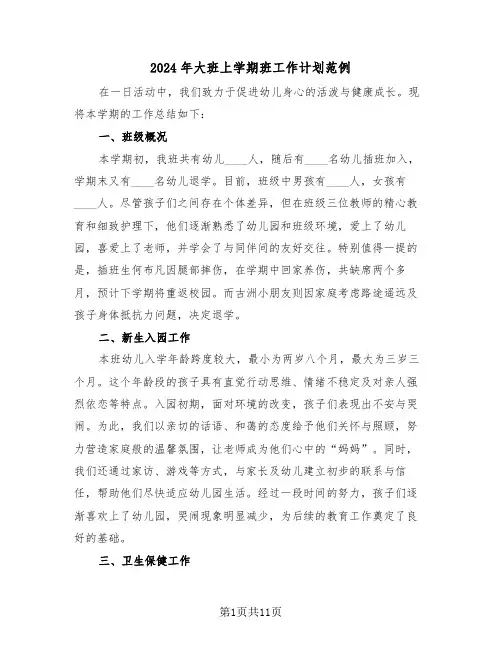 2024年大班上学期班工作计划范例（五篇）