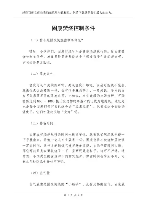 固废焚烧控制条件