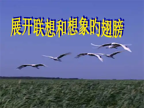 写作发挥联想和想象公开课获奖课件