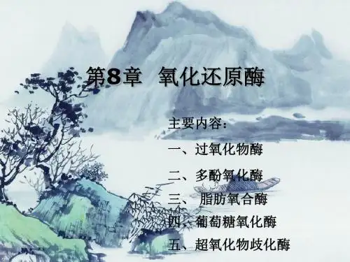 第8章氧化还原酶