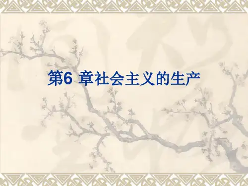 《现代政治经济学》教学课件 第6章