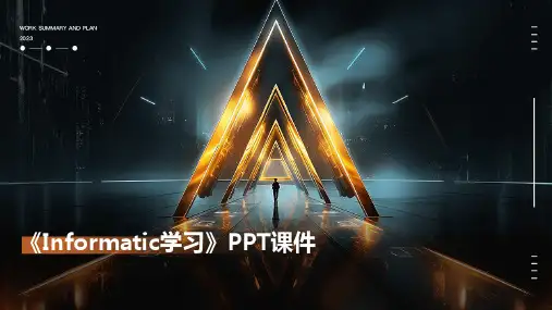 《Informatic学习》课件