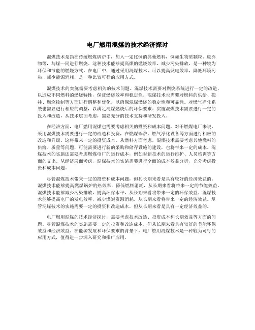 电厂燃用混煤的技术经济探讨