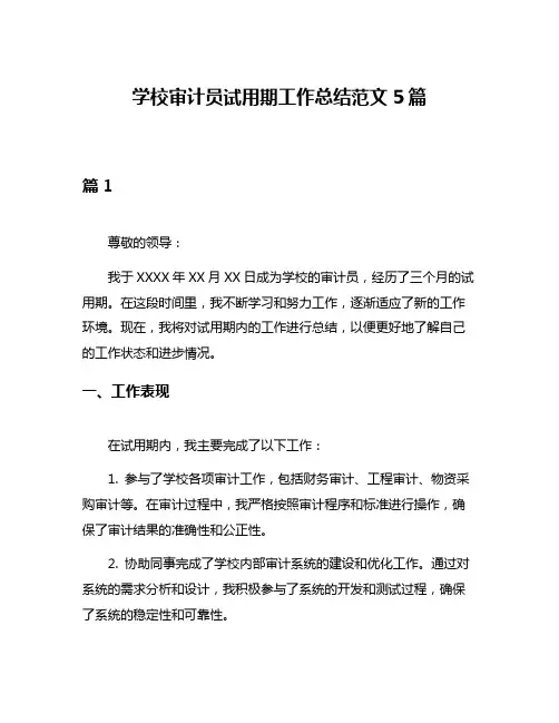 学校审计员试用期工作总结范文5篇