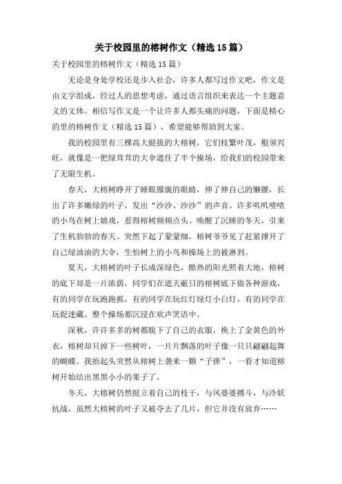 关于校园里的榕树作文(15篇)
