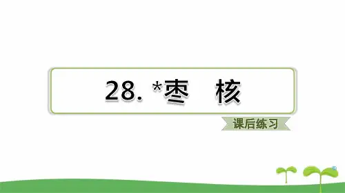 新部编版三年级下语文第28课 枣核课后练习题含答案