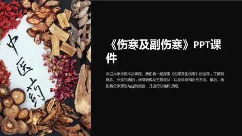 《伤寒及副伤寒》课件
