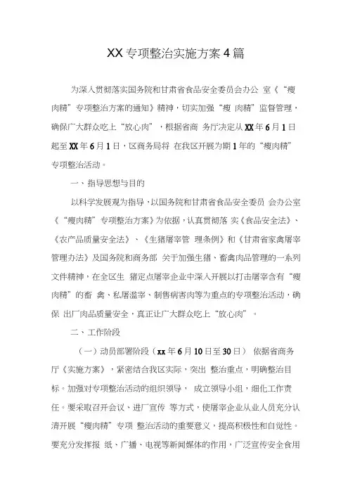 XX专项整治实施方案4篇