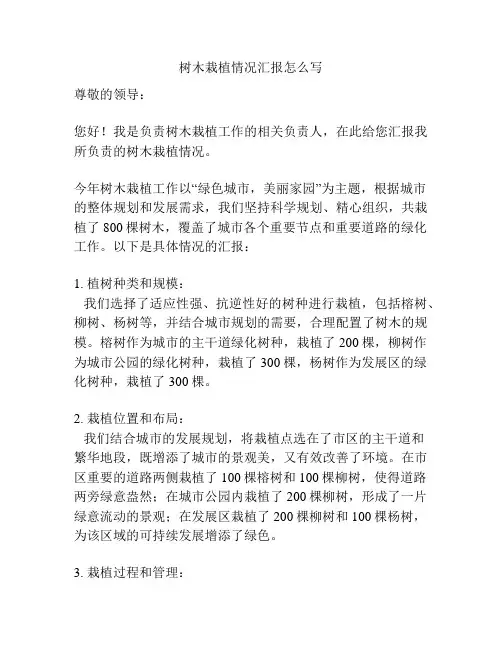树木栽植情况汇报怎么写