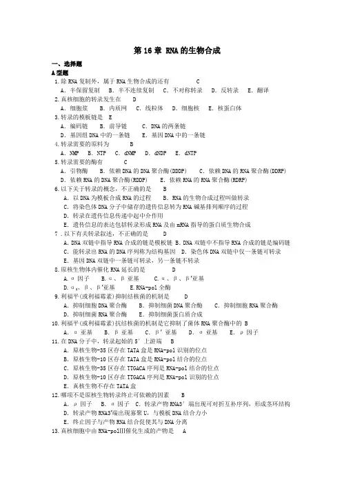 分子生物学第16章 RNA的生物合成
