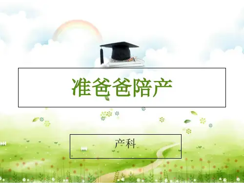 准爸爸陪产 ppt课件