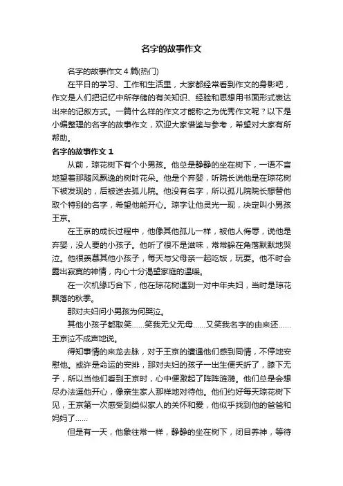 名字的故事作文
