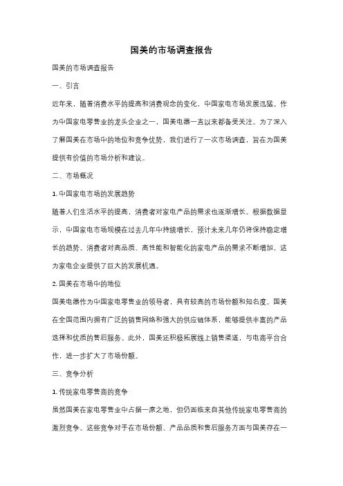 国美的市场调查报告