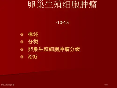 卵巢生殖细胞肿瘤ppt课件