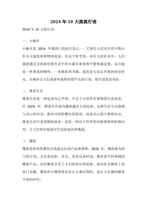 2024年10大流流行语