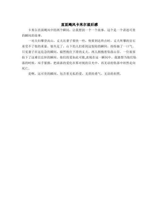 直面飓风卡米尔读后感