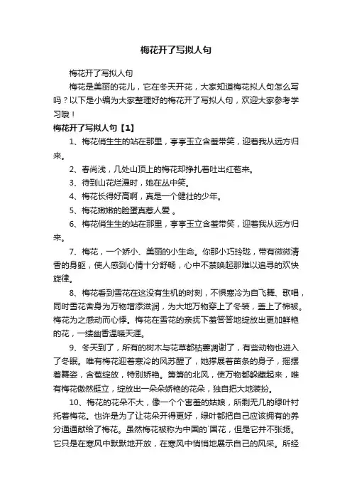 梅花开了写拟人句
