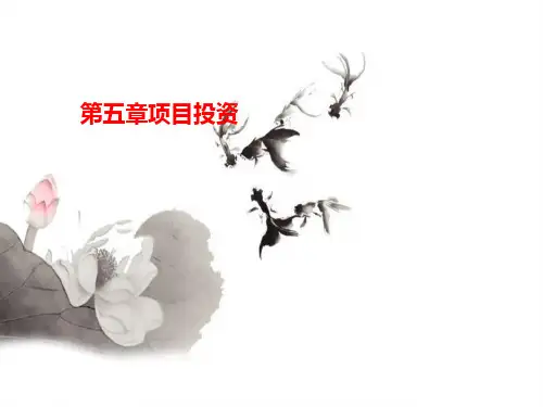 第五章项目投资
