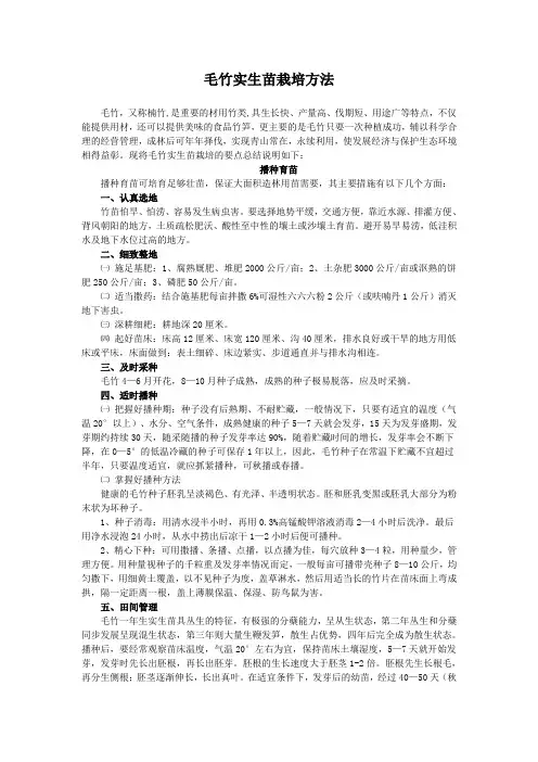 毛竹实生苗栽培方法