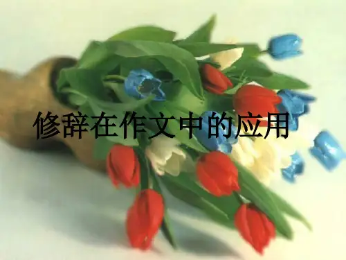 初中作文指导：《修辞在作文中的应用》PPT