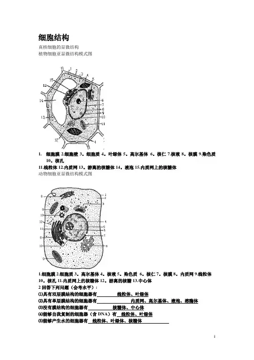 细胞结构图