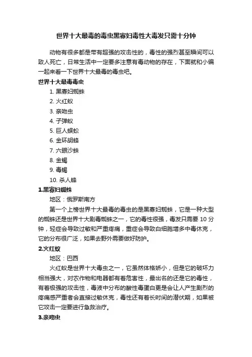 世界十大最毒的毒虫黑寡妇毒性大毒发只需十分钟