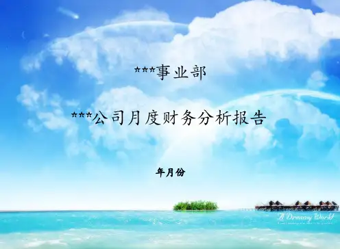财务分析报告模版(PPt)PPT课件