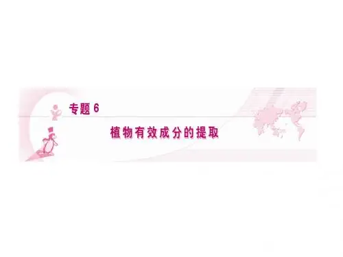专题 6 植物有效成分的提取