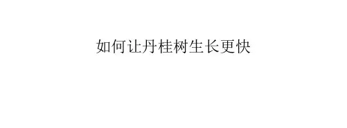 如何让丹桂树生长更快