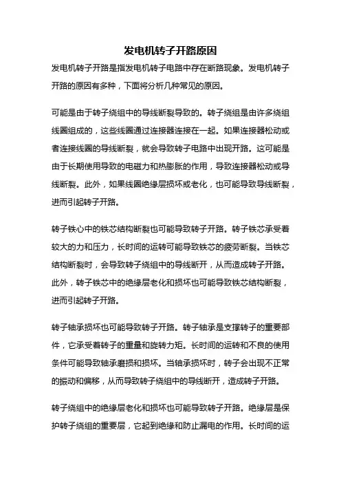 发电机转子开路原因