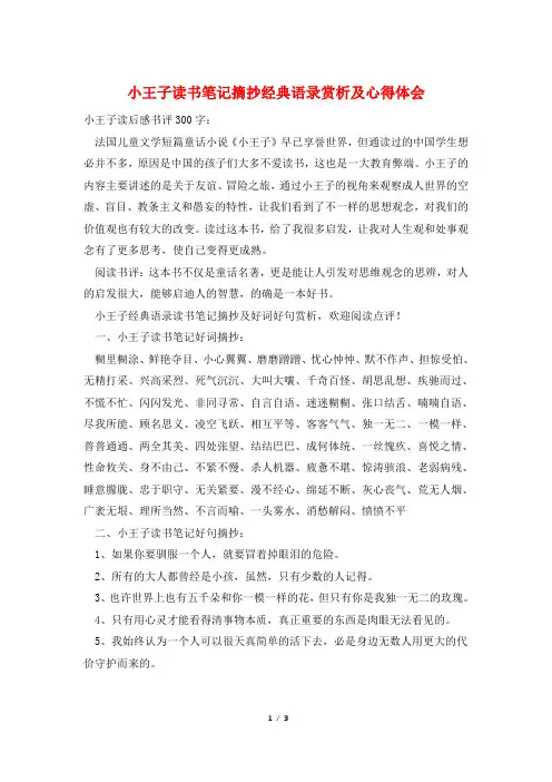 小王子读书笔记摘抄经典语录赏析及心得体会