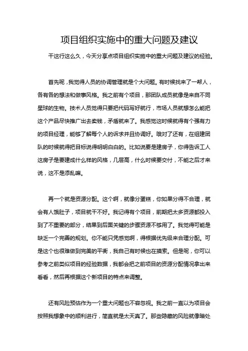 项目组织实施中的重大问题及建议