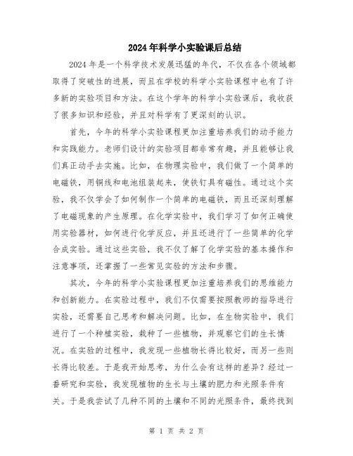 2024年科学小实验课后总结