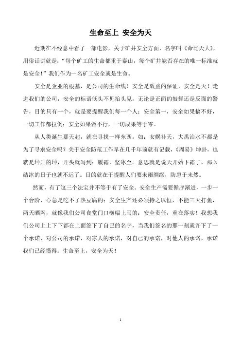 煤矿安全演讲稿：生命至上_安全为天