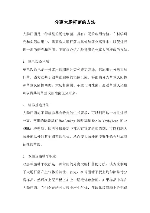 分离大肠杆菌的方法