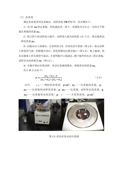 真密度测试