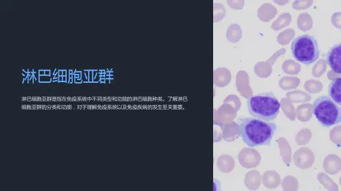 淋巴细胞亚群