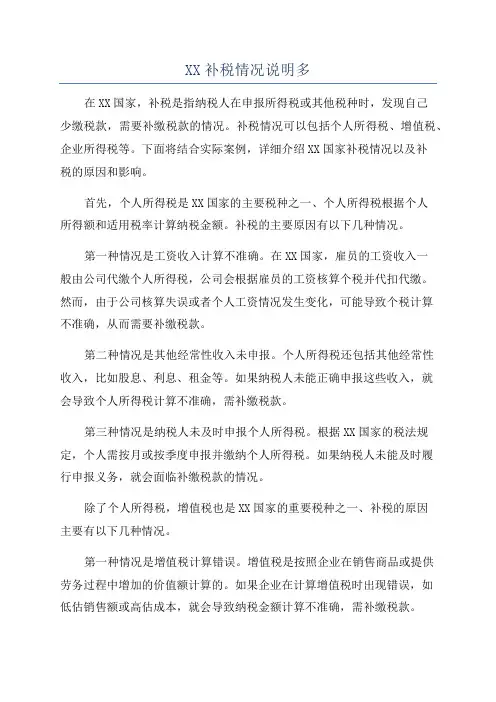 XX补税情况说明多