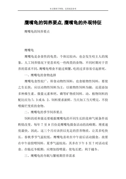 鹰嘴龟的饲养要点,鹰嘴龟的外观特征