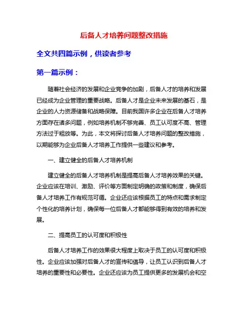 后备人才培养问题整改措施