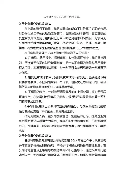 关于财务细心的总结（精选4篇）