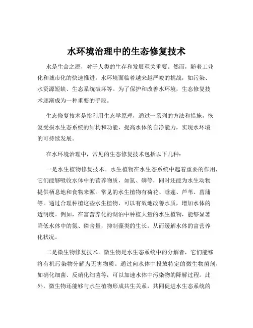 水环境治理中的生态修复技术