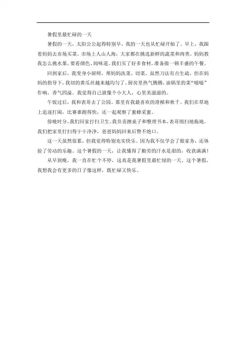 《暑假里最忙碌的一天》精选作文